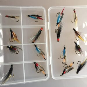 Fly Fishing Double Wet Flies for Seatrout an Dry Flies Nymphs Fly Fishing Flies Kit