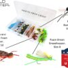 Fly Fishing Foam Fly Assortment  40 Flies wi Dry Flies Nymphs Fly Fishing Flies Kit - Image 5