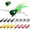 Fly Fishing Poppers  Topwater Fishing Lures  Dry Flies Nymphs Fly Fishing Flies Kit