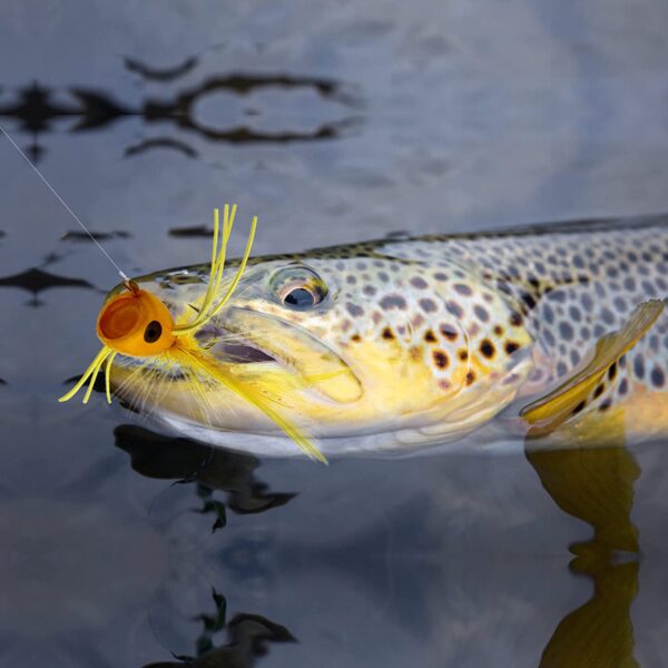 Fly Fishing Poppers  Topwater Fishing Lures  Dry Flies Nymphs Fly Fishing Flies Kit - Image 7