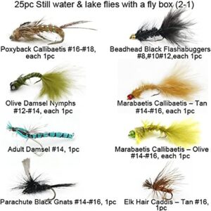 Riverruns Best Assortment Flies Combo with A Dry Flies Nymphs Fly Fishing Flies Kit