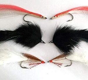 Fly Fishing Saltwater and Pike Selection Siz Dry Flies Nymphs Fly Fishing Flies Kit