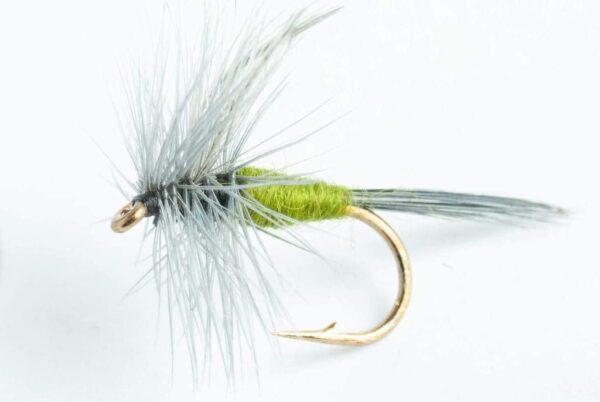 Blue-Winged Olive Dry Fly 6 Pack Dry Flies Nymphs Fly Fishing Flies Kit
