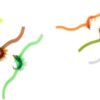 10 Pieces Trout Worm Fly Assortment Fishing  Dry Flies Nymphs Fly Fishing Flies Kit