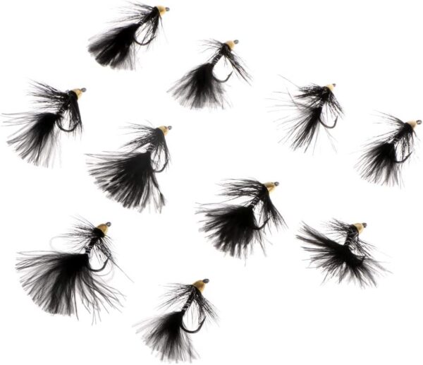 10x Bead Head Nymph Flies Woolly Buggers Sin Dry Flies Nymphs Fly Fishing Flies Kit - Image 5