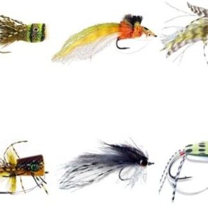 Bass Flies Assortment Dry Flies Nymphs Fly Fishing Flies Kit