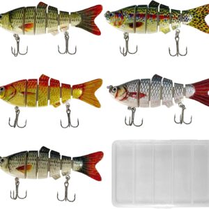 5 Pack Segmented Fishing Lures Kit Hook Sink Dry Flies Nymphs Fly Fishing Flies Kit