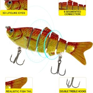 5 Pack Segmented Fishing Lures Kit Hook Sink Dry Flies Nymphs Fly Fishing Flies Kit