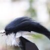 20 pcs/lot Black Zonker Streamers Salmon Tro Dry Flies Nymphs Fly Fishing Flies Kit
