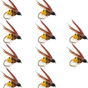 10PCS Hand-Tied Fly Fishing Bionic Nymph Bee Dry Flies Nymphs Fly Fishing Flies Kit