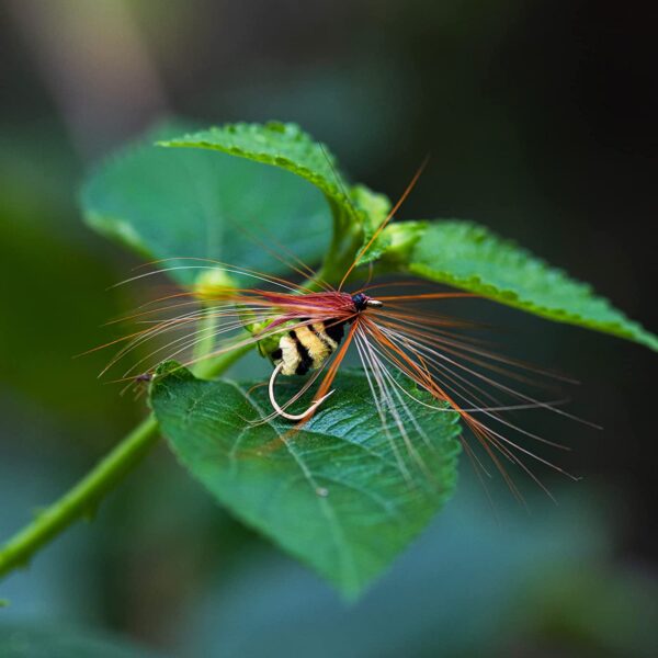 10PCS Hand-Tied Fly Fishing Bionic Nymph Bee Dry Flies Nymphs Fly Fishing Flies Kit - Image 5