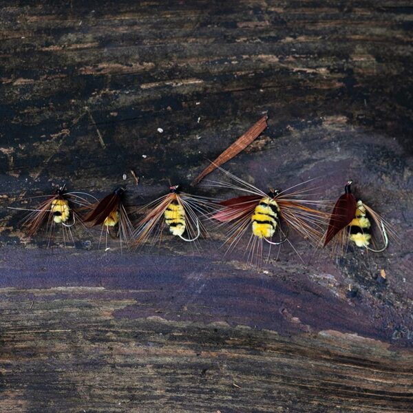 10PCS Hand-Tied Fly Fishing Bionic Nymph Bee Dry Flies Nymphs Fly Fishing Flies Kit - Image 6