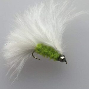 Fly Fishing Cat Whiskers beadhead Floro Gree Dry Flies Nymphs Fly Fishing Flies Kit