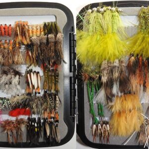 Bass and Trout Fly Assortment Wet  Dry  Ny Dry Flies Nymphs Fly Fishing Flies Kit