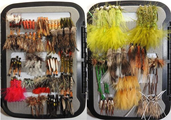 Bass and Trout Fly Assortment Wet  Dry  Ny Dry Flies Nymphs Fly Fishing Flies Kit