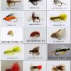 Bass and Trout Fly Assortment Wet  Dry  Ny Dry Flies Nymphs Fly Fishing Flies Kit - Image 2