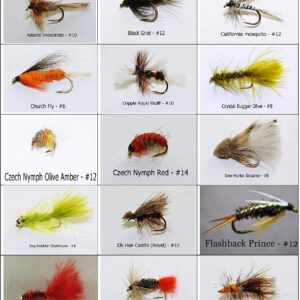 Bass and Trout Fly Assortment Wet  Dry  Ny Dry Flies Nymphs Fly Fishing Flies Kit