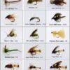Bass and Trout Fly Assortment Wet  Dry  Ny Dry Flies Nymphs Fly Fishing Flies Kit - Image 3