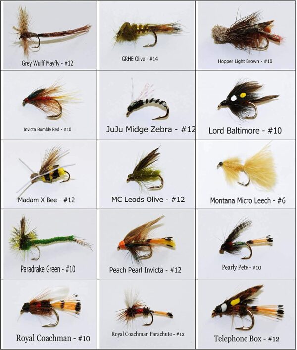 Bass and Trout Fly Assortment Wet  Dry  Ny Dry Flies Nymphs Fly Fishing Flies Kit - Image 3