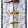 Original Realistic Stone Fly Nymph Set of 6 Dry Flies Nymphs Fly Fishing Flies Kit