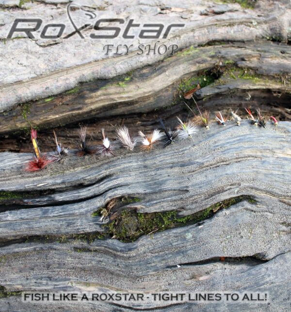 RoxStar Fishing Fly Shop Trophy Trout Fly  Dry Flies Nymphs Fly Fishing Flies Kit - Image 5