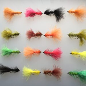 Fly Fishing Woolly Bugger Set of 16 Wooly bu Dry Flies Nymphs Fly Fishing Flies Kit