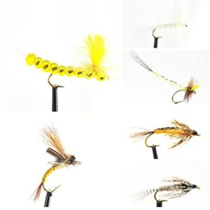 Hex Mayfly Selection Dry Flies Nymphs Fly Fishing Flies Kit