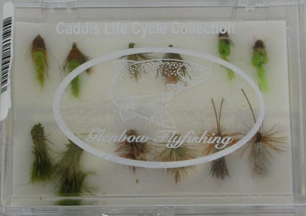 Caddis Life Cycle Collection Dry Flies Nymphs Fly Fishing Flies Kit