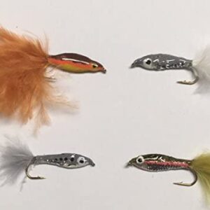 Fly Fishing Flies EPOXY Minnows 16 Flies for Dry Flies Nymphs Fly Fishing Flies Kit