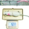 Yunanun Artificial Fishing Tackle with Hook F Fishing Artificial Bait Soft Plastic Lures - Image 6