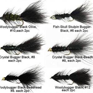 Best Assortment Flies Combo Carp Flies Wet T Dry Flies Nymphs Fly Fishing Flies Kit