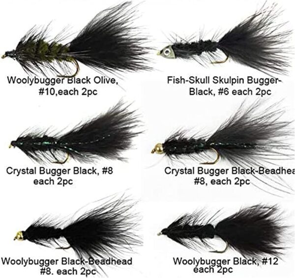 Best Assortment Flies Combo Carp Flies Wet T Dry Flies Nymphs Fly Fishing Flies Kit - Image 2
