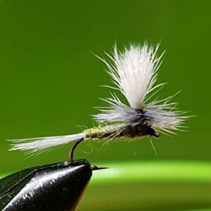 1 Dozen Parachute BWO Midge Dry Fly Tr Dry Flies Nymphs Fly Fishing Flies Kit