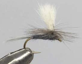 One Dozen (12) Parachute Dark Hendrickson  Dry Flies Nymphs Fly Fishing Flies Kit