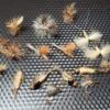 March Brown Life Cycle Selection  March Brow Dry Flies Nymphs Fly Fishing Flies Kit
