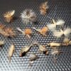 March Brown Life Cycle Selection  March Brow Dry Flies Nymphs Fly Fishing Flies Kit - Image 5