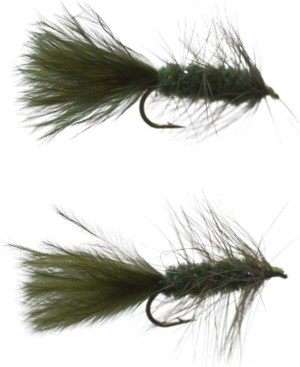 Olive Wooly Buggers 2 Pack Dry Flies Nymphs Fly Fishing Flies Kit