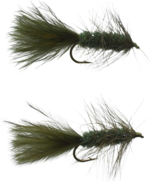 Olive Wooly Buggers 2 Pack Dry Flies Nymphs Fly Fishing Flies Kit - Image 2