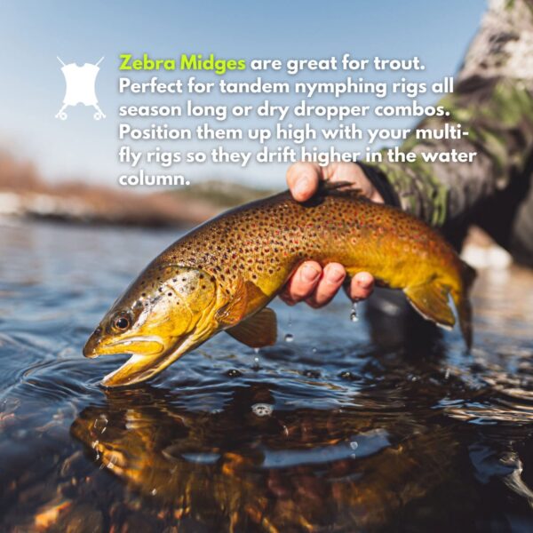 Zebra Midge Fly Fishing Nymph Assortment for Dry Flies Nymphs Fly Fishing Flies Kit - Image 4