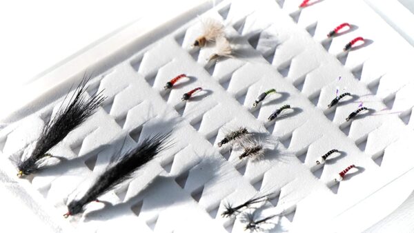 San Juan River 20 Fly Pack Dry Flies Nymphs Fly Fishing Flies Kit
