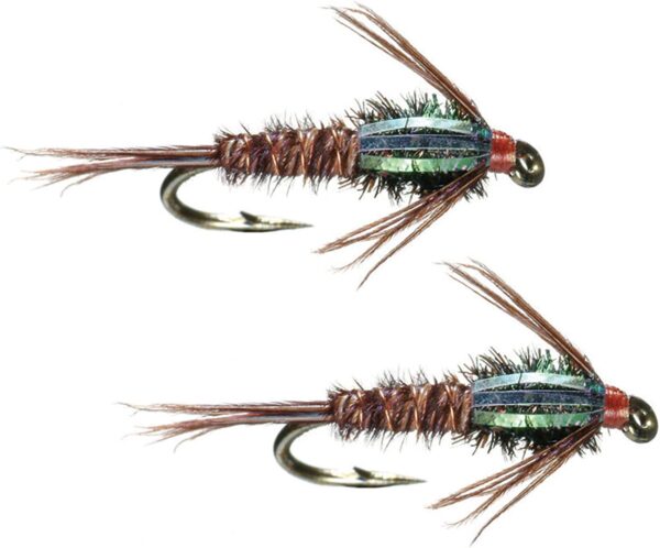 Flashback Pheasant Tail Fly Fishing Nymphs & Dry Flies Nymphs Fly Fishing Flies Kit