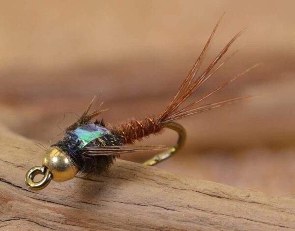 Tungsten Bead Head Flash Back Pheasant Tail  Dry Flies Nymphs Fly Fishing Flies Kit
