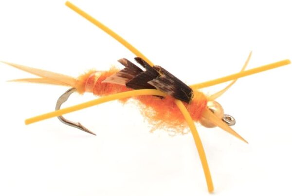 Basics Collection Kaufmann's Stonefly Nymp Dry Flies Nymphs Fly Fishing Flies Kit - Image 4