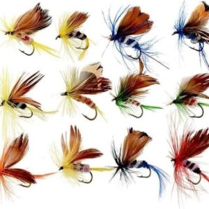 12pcs Fly Fishing Flies Kit Butterfly Like T Dry Flies Nymphs Fly Fishing Flies Kit