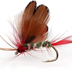 12pcs Fly Fishing Flies Kit Butterfly Like T Dry Flies Nymphs Fly Fishing Flies Kit