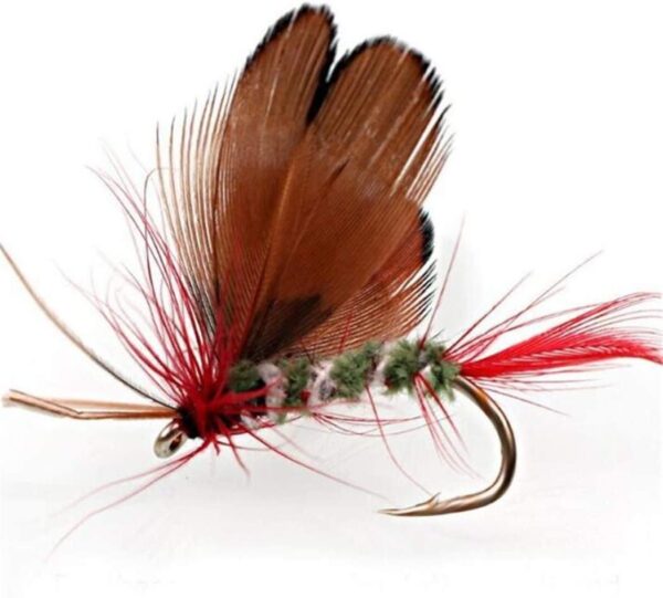 12pcs Fly Fishing Flies Kit Butterfly Like T Dry Flies Nymphs Fly Fishing Flies Kit - Image 2