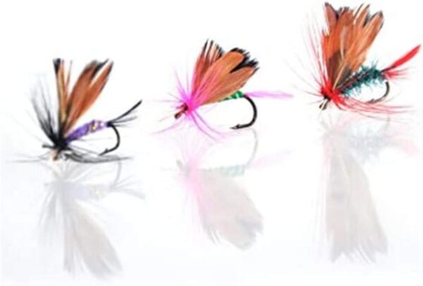 12pcs Fly Fishing Flies Kit Butterfly Like T Dry Flies Nymphs Fly Fishing Flies Kit - Image 7