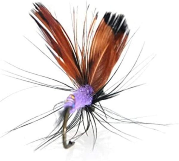 12pcs Fly Fishing Flies Kit Butterfly Like T Dry Flies Nymphs Fly Fishing Flies Kit - Image 8