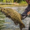 PowerBait Power Tube Fishing Artificial Bait Soft Plastic Lures - Image 2