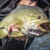 PowerBait Power Tube Fishing Artificial Bait Soft Plastic Lures - Image 3
